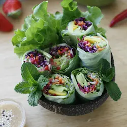 springs rolls at a picnic