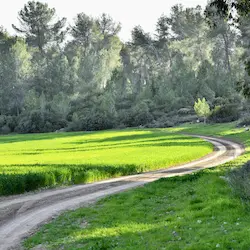 Trail off Cardiff Lake